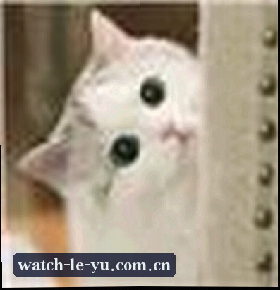 刘洋